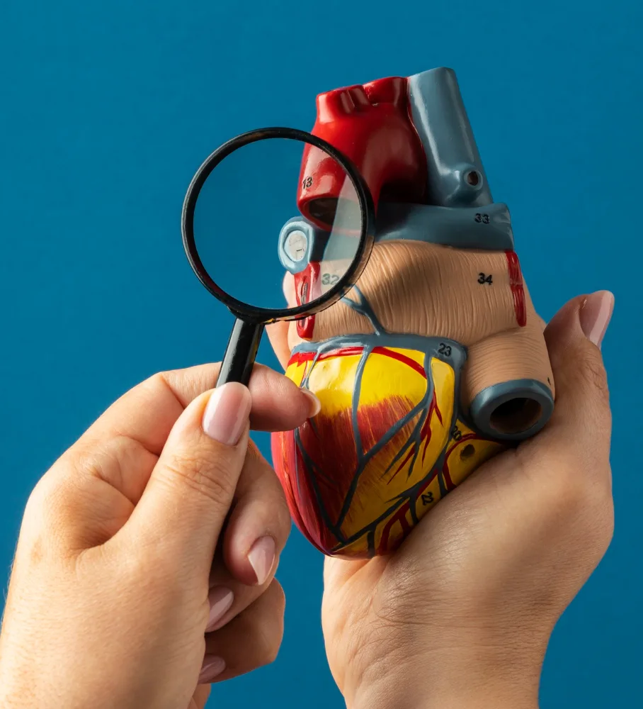 Condiciones cardiovasculares en Guadalajara